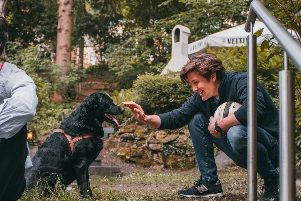 Balte spielt im Garten mit einem schwarzen Hund